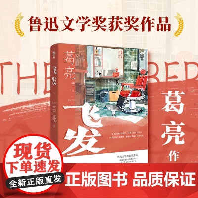 飞发 葛亮中短篇小说代表作 第八届鲁迅文学奖获奖作品 花城出版社正版书籍