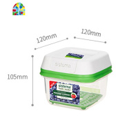 新西兰果蔬保鲜盒家用储藏大容量收纳盒持久保鲜蔬菜储藏 FENGHOU