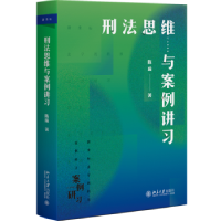 音像刑法思维与案例讲习陈璇著