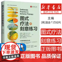 图式疗法的刻意练习 情绪管理治愈临床心理疗法 APA刻意练习要领系列书籍 心理治疗技能 动机式访 人民大学出版社