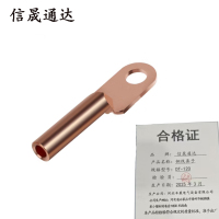 信晟通达 铜线鼻子 DT-120 个