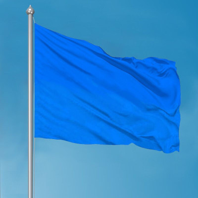 天臣玖号 定制款2号司旗160*240cm(单位:块)