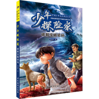 音像少年探险家 破解宝藏密码李志伟