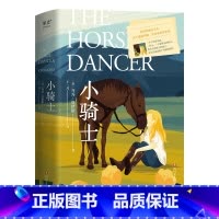 [正版]小骑士 乔乔·莫伊斯 坚持爱和梦想 成长故事 外国小说 出品