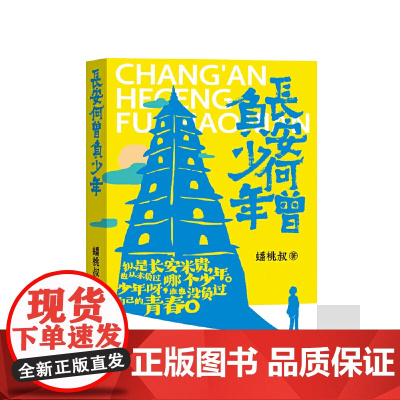 长安何曾负少年