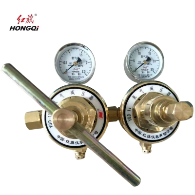 红旗 氢气减压器定制检测款YQQ-11 2.5*25 个