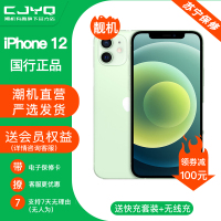 [二手99新] Apple iPhone 12 绿色 128GB 二手苹果12手机 全网通 双卡双待 国行5G 正品手机