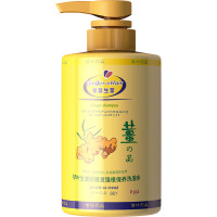 琴叶(Q&Y)生姜防脱发强根保养洗发水450mL