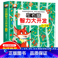 [2-3岁]左右脑智力开发 [正版]强大脑思维逻辑训练儿童左右脑智力潜能大开发2-3-4-5-6岁宝宝益智早教书籍幼儿园