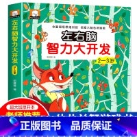 [2-3岁]左右脑智力开发 [正版]强大脑思维逻辑训练儿童左右脑智力潜能大开发2-3-4-5-6岁宝宝益智早教书籍幼儿园