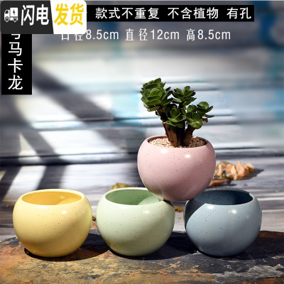 三维工匠多肉花盆大口径陶瓷粗陶透气多肉植物简约套装组合圆球花盆 大号马卡龙4个装 中等花盆容器