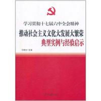 正版新书]推动社会主义文化大发展大繁荣典型实例与经验启示任仲