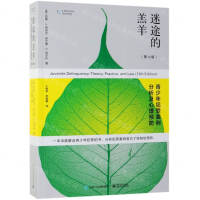 [M]迷途的羔羊(青少年犯罪案例分析及心理预防第12版)-9787121362330