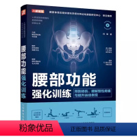 [正版]腰部功能强化训练 预防损伤与提升运动表现 人体运动系统基础知识 腰部解剖学结构与功能 科学训练方案书籍
