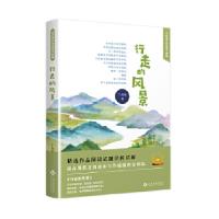正版新书]行走的风景丁尚明9787514225020