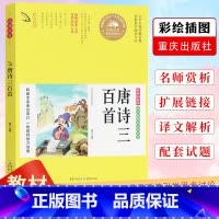 唐诗三百首 [正版] 悦读悦好 唐诗三百首 三四年级五六年级小学生课外阅读书籍儿童读物10-15岁课外书 经典文学彩色美