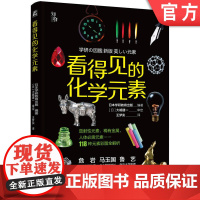 正版 看得见的化学元素 日本学研教育出版编著 原子 周期表 规律 原理 发现 命名 性质 应用 青少年 普及读物