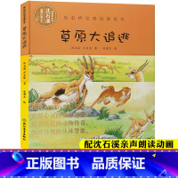 [正版]配朗读视频草原大追逃 彩虹桥动物母爱绘本 沈石溪动物小说系列儿童书籍0-3-6岁宝宝早教启蒙认知幼儿园睡前故事