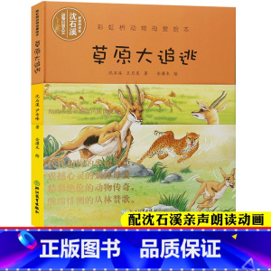 [正版]配朗读视频草原大追逃 彩虹桥动物母爱绘本 沈石溪动物小说系列儿童书籍0-3-6岁宝宝早教启蒙认知幼儿园睡前故事