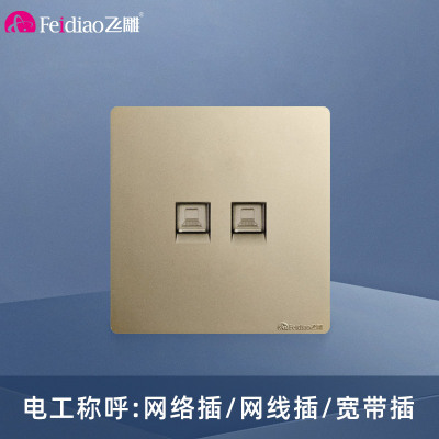 飞雕(FEIDIAO)开关插座面板 86型暗装双电脑网线插座 网络插座面板 A7流光金二位电脑插