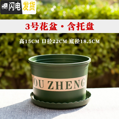 三维工匠塑料矮胖加仑花盆绿萝月季花多肉育苗盆加厚小加仑盆 矮胖3号口径22含托5个装[满十送一] 大花盆容器