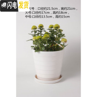 三维工匠陶瓷花盆北欧特大号中号简约桌面多肉盆栽绿萝吊兰带托盘 白色010螺纹白色 中等花盆容器