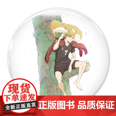 [正版日谷]排球少年 65mm海报柄吧唧徽章 ver2.0