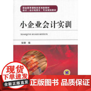 小企业会计实训(职业教育课程改革创新教材 会计会计电算化专业规划教材)