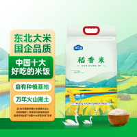 响水 稻香米 东北长粒香米5kg 响水贡米 国家地理标识 龙江特色食品 一年一熟