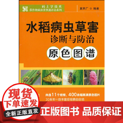 水稻病虫草害诊断与防治原色图谱