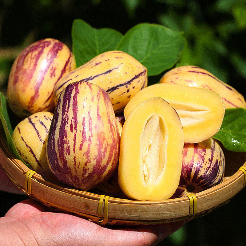 云南石林人参果长寿果圆果长果 现摘当季新鲜水果批发 小果3斤(长果)