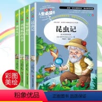 [正版]昆虫记绿野仙踪列那狐的故事柳林风声全4册小学生课外阅读书籍法布尔三四五六年级青少版初中生必读6-7-10-12