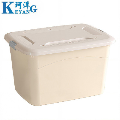 珂洋 整理箱 奶油白 个