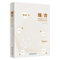 [N]缝合(大数据时代下的资本管理与实践)-9787301316085