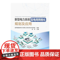 新型电力系统配电网网格化规划及应用 国网福建省电力有限公司经济技术研究院 组编 陈彬 主编中国电力出版社978751