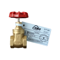 铁信成 重体全铜闸阀 TXC - DN20-50 个