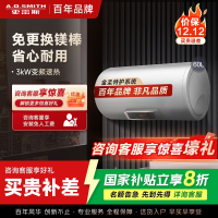 AO史密斯60升电热水器 专利免更换镁棒 金圭内胆 速热节能 纤美长款 大屏E60VC0 一级能效