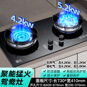 新飞煤气灶双灶燃气灶家用嵌入式台式双眼灶灶具猛火灶炉具熄火保护天然气灶