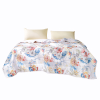 富安娜 七孔抗菌印花空调被-半夏.采薇