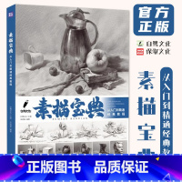 [正版]素描宝典从入门到精通经典教程 2024白鹭文化宋艳慧