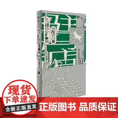 驻马店伤心故事集(单读新书024,我们忍受痛苦,我们活下来了,这就是胜利) 郑在欢 上海文艺出版社 正版书籍