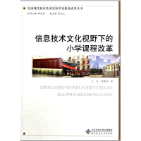 正版新书]信息技术文化视野下的小学课程改革王岚9787303143597