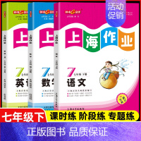 七年级 下册语数英全3本 小学通用 [正版]2024钟书金牌上海作业四年级上册数学五年级六年级一二三年级七八九年级上册下