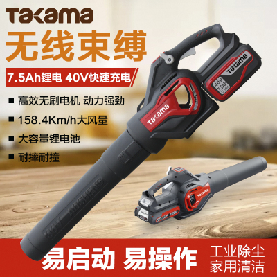 高松(takama) 40V锂电吹风机 清灰尘除尘器 电动充电式吹灰机吹雪机 827590(一电一充)