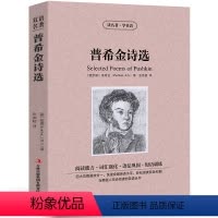 [中英互译]普希金诗选 [正版]中英双语老人与海书中英文双语名著读物英汉对照互译英语小说海明威原著 读名著学英语 高中生