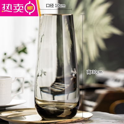 后现代简约台面花瓶客厅餐桌轻奢玻璃花瓶透明水养插花装饰FENGHOU简意B款大号（描金）