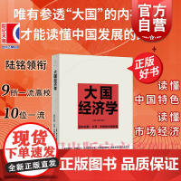 大国经济学 面向长期全局多维的中国发展 陆铭领衔杨汝岱等著系统解读中国经济的通识之作世纪文景经济长期转型发展