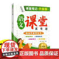 新版课堂笔记三年级下册语文人教版 教材同步解读课本知识大全 小学语文课堂真有趣教材同步解读讲解同步教材人教版课本同步练习