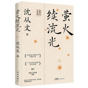 [N]萤火续流光-9787536095588