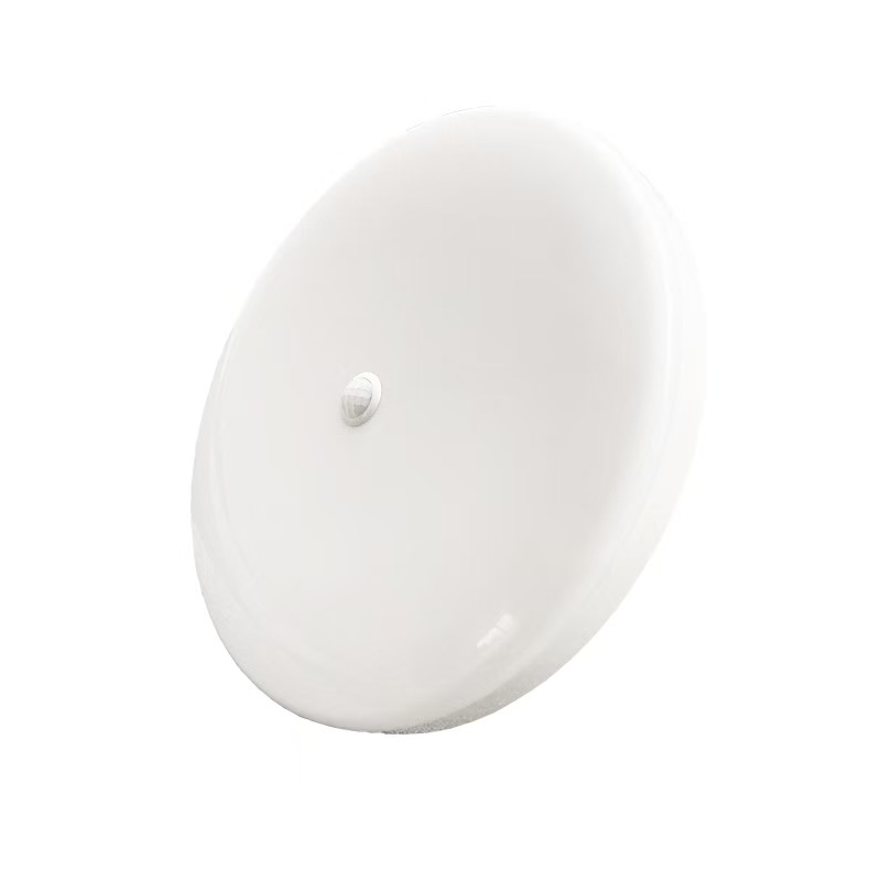 洛安斯 智能感应吸顶灯 18W 个